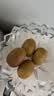 佳沛（zespri）新西蘭 陽光金奇異果12粒特大果單果124-146g 獼猴桃水果禮盒 曬單實拍圖