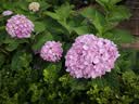 蘇醒的樂園26夏季假兩件短袖拼接網紗連衣裙洋氣減齡簡約顯瘦長裙 黑色 XL 曬單實拍圖
