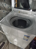 小天鵝（LittleSwan）波輪洗衣機(jī)小型全自動家用 8KG 直驅(qū)變頻 TB8V28DT 一級能效 省電 以舊換新 京東自營 出租房宿舍 曬單實拍圖