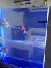 欧宝 鱼缸玻璃生态水族箱子弹头家用客厅屏风金鱼缸大型可定制 弧门款 底滤 1.2米长 实拍图