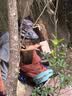 優衣庫快干POLO衫/短袖男裝女裝合作款/T恤482304 03 灰色 L 曬單實拍圖