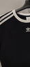 阿迪達斯（adidas）三葉草 女子 3S CALI TEE SS 短袖 JC8703 L 曬單實拍圖