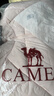 駱駝（CAMEL）戶外羽絨服冬季新款女款男款防風保暖外套高蓬防鉆絨大朵鴨絨 曬單實拍圖
