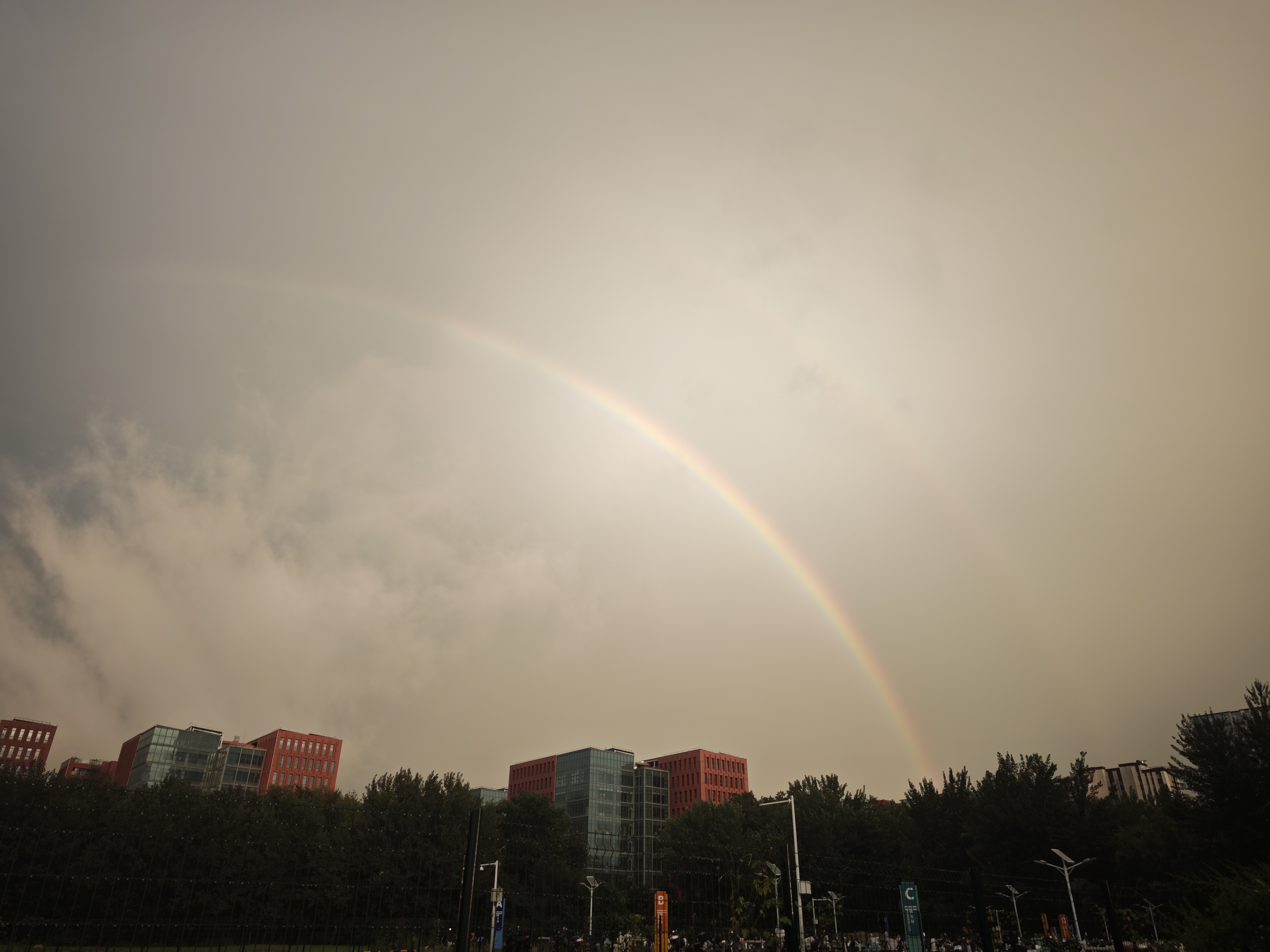 老廟銀項(xiàng)鏈S925銀鍍金圓扣式素鏈生日節(jié)日七夕禮物 閃O鏈 曬單實(shí)拍圖