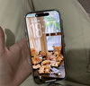 Apple  iPhone17 Pro【24期免息】蘋果17pro 蘋果手機 雙卡雙待全網(wǎng)通 蘋果二手手機 銀色 【99新】256G【3期免息+超長質保+豪華禮包】 曬單實拍圖