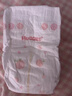 好奇（Huggies）鉑金裝小桃褲拉拉褲L76片(9-14kg)大號尿不濕【夏季散熱王】 曬單實拍圖