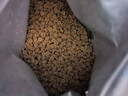 LEGENDSANDY藍氏超能奶盾全價鮮肉低溫烘焙乳酸菌幼成貓糧乳鴿1.8kg 曬單實拍圖