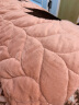 钟爱一生（CHERISHES LIFE）沙发垫套装加厚沙发罩套巾毛绒坐垫秋冬季防滑盖布新中式组合通用 水晶绒天鹅 简边粉色 90*180cm 单张 实拍图
