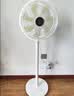 鉆石牌【直流省電王】電風扇家用落地風扇一級能效/節能省電七葉輕音立式風扇大風量勁風臺式電扇 曬單實拍圖