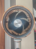 夏普 SHARP空氣循環(huán)扇電風扇家用離子群凈化除菌電扇智能語音直流輕音落地扇大風量循環(huán)風扇落地氛圍燈 智能語音+離子群凈化+氛圍燈 曬單實拍圖