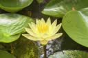 靠森（Kaooseen）防滑無(wú)痕專(zhuān)用多功能防滑無(wú)痕晾衣?lián)巫臃兰缃且录芗矣脪煲聦W(xué)生宿舍 防滑無(wú)痕衣架20只 曬單實(shí)拍圖