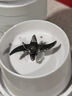 膳魔師（THERMOS）制冷榨汁杯 冰霸杯 榨汁機小型便攜式 隨行杯攪拌杯果汁杯奶昔杯可碎冰電動多功能自動清洗 曬單實拍圖