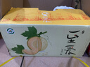 新疆哈密瓜  金紋老漢瓜西州蜜瓜  新鮮水果蜜瓜甜瓜整箱 金紋老漢瓜9-10斤（2個） 曬單實拍圖