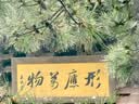 惠百施（EBISU）65孔寬頭成人軟毛牙刷三重植毛清潔護齦進口8支家庭裝顏色隨機 曬單實拍圖