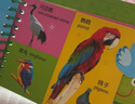 撕不爛早教翻翻卡片中英雙語全套6冊官方正版童書 0到1一3歲寶寶啟蒙認知繪本2歲 一歲半兩歲寶寶書籍嬰兒圖書幼兒童啟蒙益智早教水果蔬菜顏色動物看圖識物玩具書 陽光寶貝好寶寶學習起步書認物卡京東 曬單實拍圖