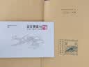 中華書局【順豐發貨】新書 晉書點校本二十四史修訂本  [唐] 房玄齡等撰 ?聶溦萌 羅新 主持修訂 精裝繁體豎排 附贈藏書票一枚 唐代官修紀傳體正史 唐太宗親撰史論 曬單實拍圖