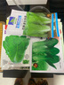 孔雀菜種子沙拉生菜種子咖啡菜種四季陽臺(tái)盆栽蔬菜種子大全 孔雀菜種子【3包 約900粒】 曬單實(shí)拍圖