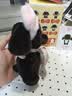 ROSYDOEDIAN TOYS【露思同款】Baby過(guò)家家系列盲盒玩具掛件閨蜜生日禮物Rdd toys 單盒（隨機(jī)發(fā)） 盲盒隨機(jī)不指定，不支持無(wú)理由退貨退款 曬單實(shí)拍圖