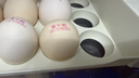 黃天鵝【可生食鮮雞蛋】30枚/3.18斤禮盒裝 生鮮雞蛋京東自營 送禮 曬單實拍圖