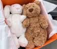 Jellycat經典拍檔禮盒集合巴塞羅熊邦尼兔毛絨玩具安撫送禮七夕情人節禮物 經典拍檔（害羞乳白色邦尼兔） 曬單實拍圖