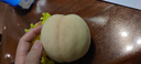 水蜜桃【現貨】正宗無(wú)錫白鳳水蜜桃 時(shí)令水果現摘新鮮精選桃子 12粒禮盒裝（單果180~250克） 曬單實(shí)拍圖