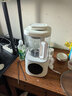 京東京造輕音降噪破壁機Pro1.5L 家用豆漿機帶柔音罩 預約多功能料理機 免煮五谷雜糧榨汁機米糊機小容量 曬單實拍圖