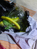 夏季新款網紅拎拎壺大容量水杯高顏值塑料冰霸杯卡通兒童吸管杯子 綠色800ml 曬單實拍圖