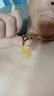 善心堂黃水晶貔貅項(xiàng)鏈男士女款隨身貔貅吊墜男感飾品天然送禮禮物品 黃水晶貔貅吊墜 曬單實(shí)拍圖