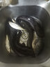 達(dá)摩 觀語(yǔ)魚(yú)鉤成品子線鉤組套裝 【三角牙無(wú)刺】 新關(guān)東3.0# 線2.5號(hào) 曬單實(shí)拍圖