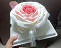 百世今生玫瑰花翻糖蛋糕生日蛋糕同城配送當日送達表白女友老婆教師節禮物 翻糖玫瑰花蛋糕A款 6英寸動(dòng)物奶油 曬單實(shí)拍圖