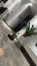 格力（GREE）電風扇家用大風量落地扇立式節能電扇客廳臥室宿舍搖頭定時空氣循環風扇臺地兩用排氣扇空調伴侶 【黑色】16吋大扇葉大風量經典款 4012-WG 曬單實拍圖