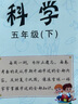 2026年春薛金星小學(xué)教材全練 5五年級科學(xué)下冊 教科版 教育科學(xué)版5五年級下科學(xué)課本同步練習冊隨堂訓練單元期中期末測試卷 金星教育 曬單實(shí)拍圖