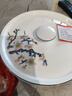 金嵐玉唐山骨瓷7英寸深窩盤帶瓷蓋湯盤帶蓋盤子陶瓷蓋微波爐菜盤瓷蓋盤 青雀之喜-窩碗+帶揪蓋 1個(gè) 7英寸 曬單實(shí)拍圖