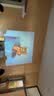樂視TV樂視2026新款智能投影儀家用學生高清高亮家庭影院便攜云臺客廳臥室宿舍無線投屏電視投影機 樂視X229旗艦款【全自動對焦/全色光源技術】 曬單實拍圖