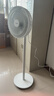 美的（Midea）【價低頭部主播9折】電風扇 家用七葉立式落地扇宿舍臥室輕音節能搖頭大風力空氣循環風扇 SAF30AC 曬單實拍圖