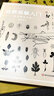 自然觀(guān)察入門(mén) 認識花鳥(niǎo)蟲(chóng)魚(yú) 萬(wàn)物漫游指南自然科普經(jīng)典插圖昆蟲(chóng)植物觀(guān)察書(shū)籍  后浪 曬單實(shí)拍圖