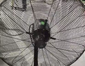 鉆石牌（DIAMOND）工業電風扇強力落地扇大功率家商用工廠車間學校立式搖頭牛角扇  750款塑鋼葉三檔旋鈕 曬單實拍圖
