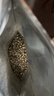 福茗源茉莉花茶茉莉女兒環 濃香特級2026新茶嫩芽茶葉自己喝袋裝250g 曬單實拍圖