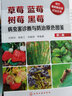 現(xiàn)代果樹病蟲害診治叢書--草莓藍(lán)莓樹莓黑莓病蟲害診斷與防治原色圖鑒（第二版） 曬單實拍圖