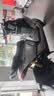 九號（Ninebot）【新品】九號全新M3 100 閃騎 外賣通勤 智能電動車 長續航電摩【門店自提】 到門店選顏色 曬單實拍圖