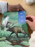椋鳩十經(jīng)典世界動物小說 愛藏本9：野獸島 曬單實拍圖