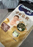 MOONY尤妮佳慕怡皇家佑肌拉拉褲XL42(12-17kg)透氣小風窗 曬單實拍圖