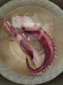 東上御品脆口魷魚須新鮮章魚足八爪魚海鮮超大章魚須鮮活章魚爆頭腿腳 4斤(凈重)  【超大號】約14-18條 曬單實拍圖