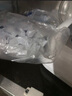 圣寧（SHENGNIN）婦科臭氧霧化儀醫(yī)用霉菌性炎癥理療儀宮頸理療護理儀私密藍(lán)氧沖洗 標(biāo)配+100支霧化頭 曬單實拍圖