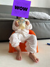 愛(ài)他美（Aptamil）德國愛(ài)他美白金版官方授權HMO原裝進(jìn)口嬰幼兒配方牛奶粉800g 1+段【每罐返現金】 效期至27年5月 曬單實(shí)拍圖