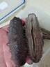出海人福建鮮活冷凍鮮食海參500g 40-60只 刺參 免泡發(fā)方便 （中500克裝）鮮食海參20-30只 曬單實(shí)拍圖