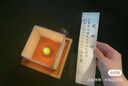 【兒童繪畫美術(shù)3冊(cè)】中國(guó)當(dāng)代兒童繪畫解析與教程 楊景芝+幼兒創(chuàng)意美術(shù)3至6歲+兒童創(chuàng)意美術(shù)6至10歲 曬單實(shí)拍圖