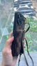 英凱倫 蘋果16promax手機(jī)殼皮套全包防摔斜跨iPhone15plus收納潮牌掛繩插卡女新款保護(hù)套 蘋果14 殼+卡包+掛繩 曬單實(shí)拍圖