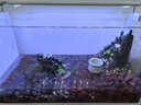 添悅新款側濾魚(yú)缸客廳金魚(yú)缸自循環(huán)帶蓋桌面斗魚(yú)缸家用增氧小型一體缸 E-50缸【標配版】 曬單實(shí)拍圖