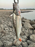 藍(lán)旗魚(yú) 邪道1號(hào)路亞餌假鉺淺灣145F/175F浮水米諾翹嘴海鱸鳡魚(yú)專(zhuān)殺 145mm/21g 鐳射紅頭 曬單實(shí)拍圖